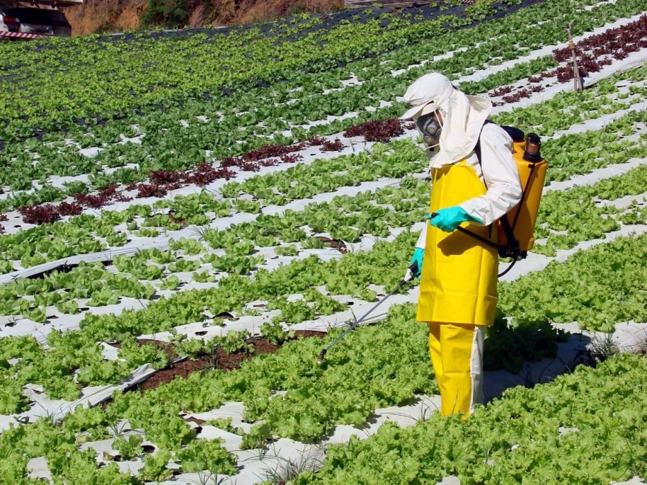 Debate sobre uso de agrotóxico será realizado em Redenção