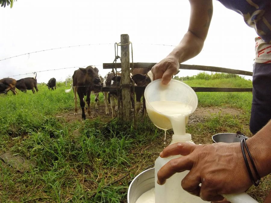 Produtores rurais tem até sexta para se inscrever em projeto agropecuário de Parauapebas