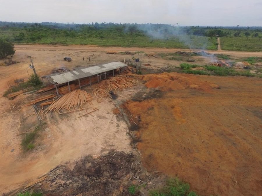 Operação da PF desarticula 4 madeireiras ilegais no sudeste do Pará