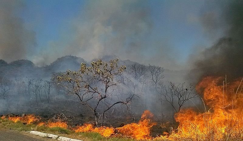 Queimadas diminuem na Amazônia, mas aumentam em outros biomas do Brasil