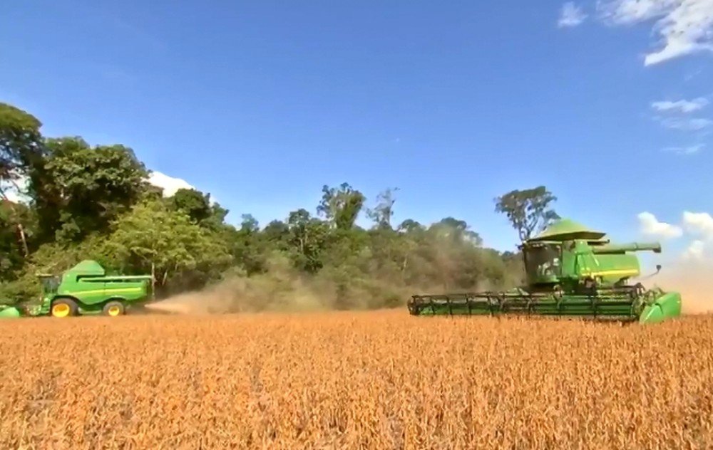 Emprego formal no campo tem saldo positivo no Pará