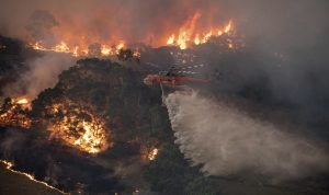 Gases de efeito estufa liberados em incêndios na Austrália têm quase o mesmo percentual da Amazônia