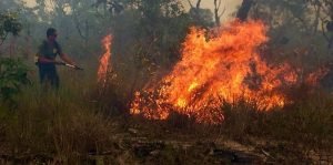 Queimadas no interior do Pará podem agravar estado de saúde de pessoas diagnosticadas com Covid-19