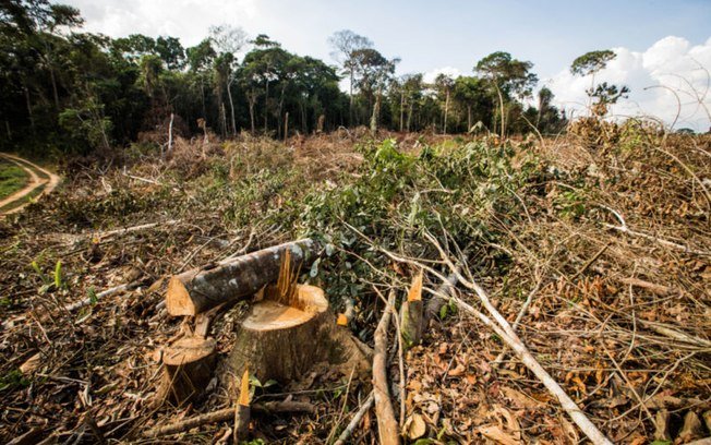 Desmatamento da Amazônia bate recorde de dez anos em abril, aponta Imazon