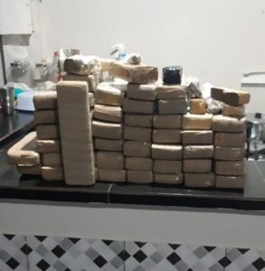 Polícia Militar apreende mais de 50 kg de maconha em bairro de Ananindeua