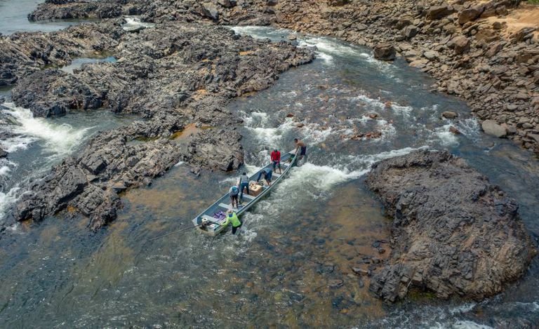 Ribeirinhos de Altamira denunciam morte de peixes devido a seca dos rios