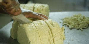 Queijo do Marajó vence concurso internacional mostrando a história dos produtores regionais