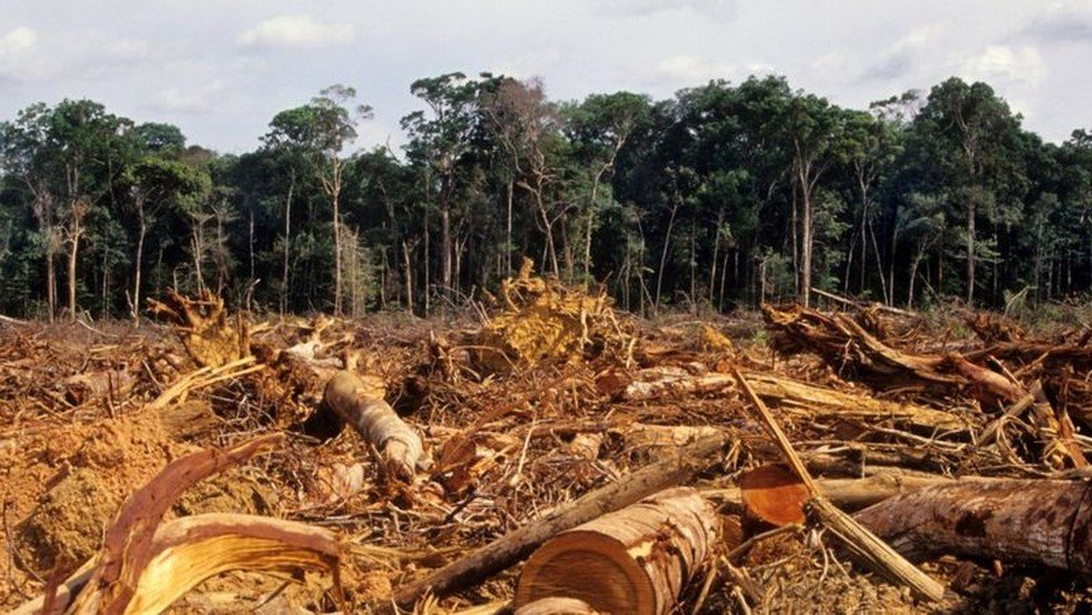 4 municípios do Pará entram na lista de ações do Ministério do Meio Ambiente para controlar o desmatamento