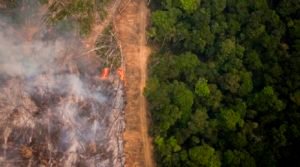 Pará é o estado que mais desmatou a Amazônia em março, aponta Imazon