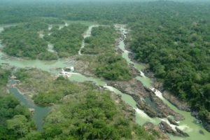 Operação da PF prende quadrilha que desmatou mais de 30 mil hectares de floresta no Pará