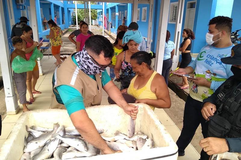 Operação da Semas apreende mais de 4 mil quilos de peixe comercializados ilegamente no Pará