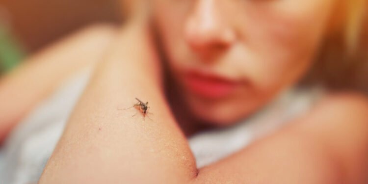 Pesquisa aponta que mulheres sofrem mais as sequelas da chikungunya do que homens