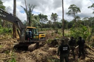 Operação ‘Amazônia Viva’ no Pará acumula redução de desmatamento em mais de 30 mil hectares