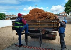 Carga com 15 toneladas de minério é apreendida em Dom Eliseu