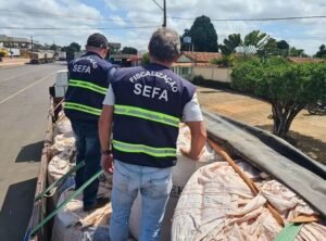 Sefa apreende quase 50 toneladas de bauxita no Pará