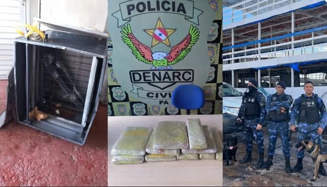 Pacotes de skunk são encontrados dentro de fogão em embarcação no terminal hidroviário de Belém