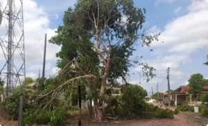 Forte chuva com ventania derruba torre em Goianésia do Pará e deixa cidade sem energia há três dias